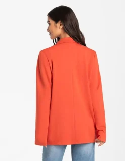Blazer - Viscosemix
