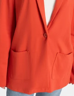Blazer - Viscosemix